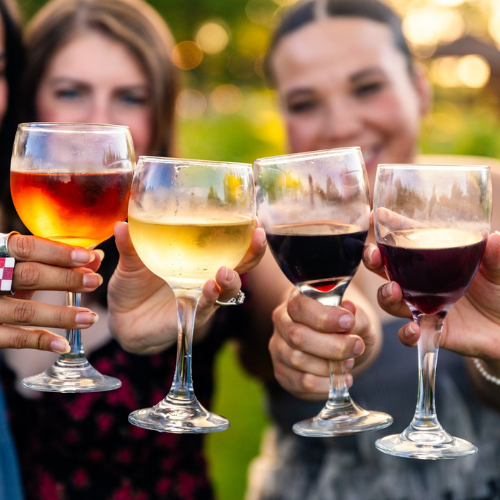 Friends toasting glasses of red, white, and rosé wine outdoors during a wine tasting event
