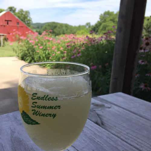Glass of white wine at Endless Summer Winery overlooking flowers and a red barn in rural Missouri
