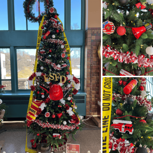 Hall of Trees • Excelsior Springs, MO Tourism