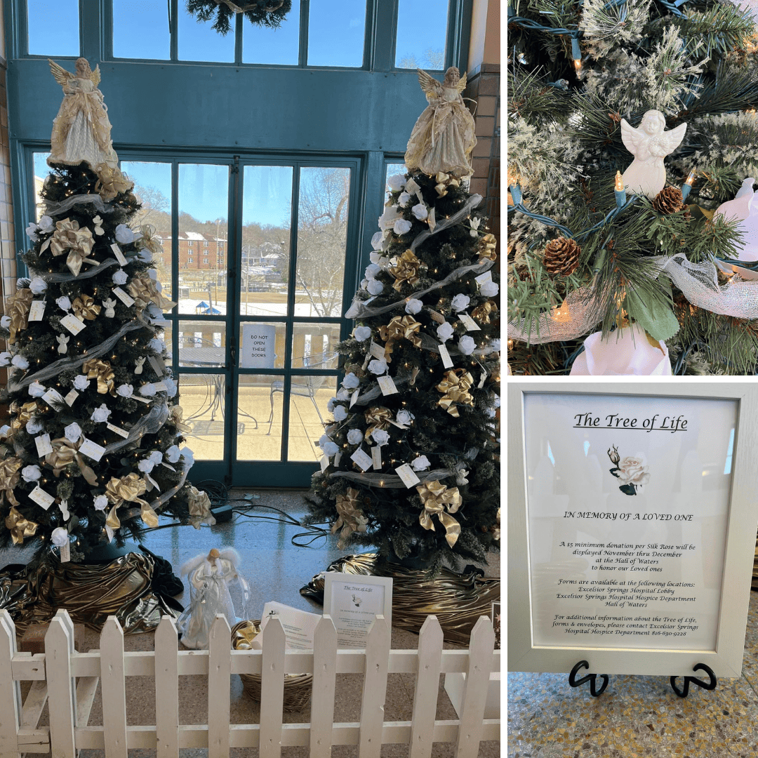 Hall of Trees • Excelsior Springs, MO Tourism